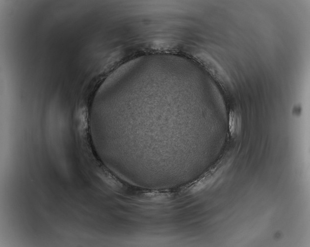 X0000102481107200808221700