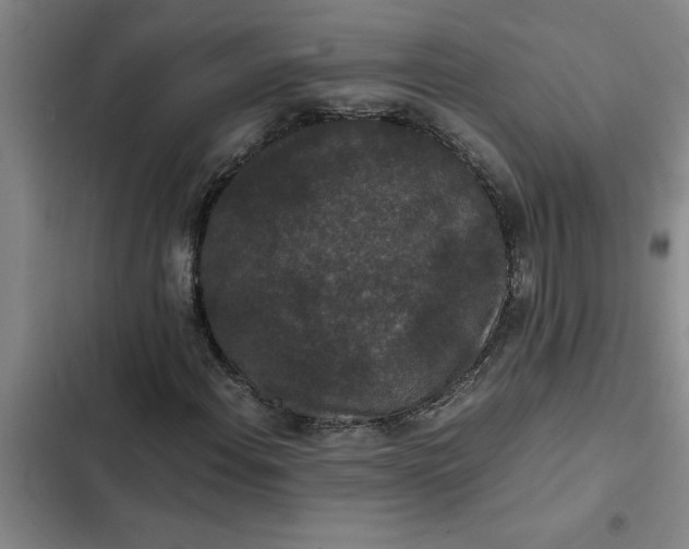 X0000102481108200808221700