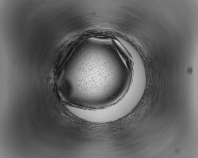 X0000102481110200808221700