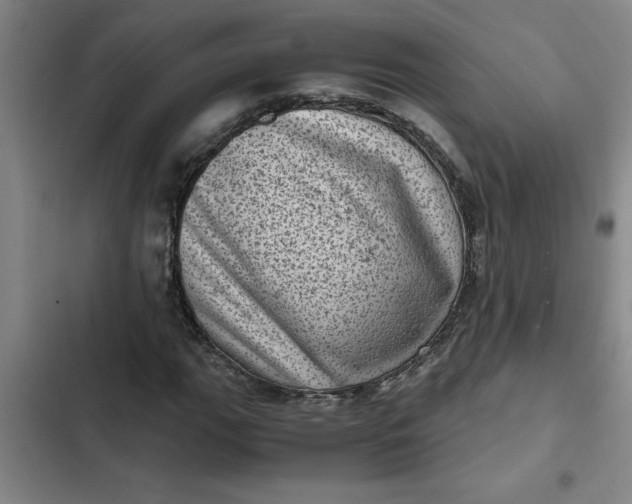 X0000102481111200808221700