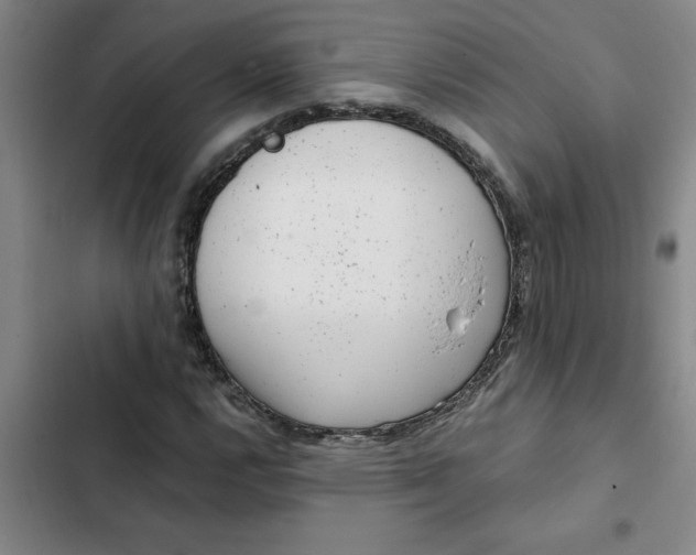 X0000102481112200808221700