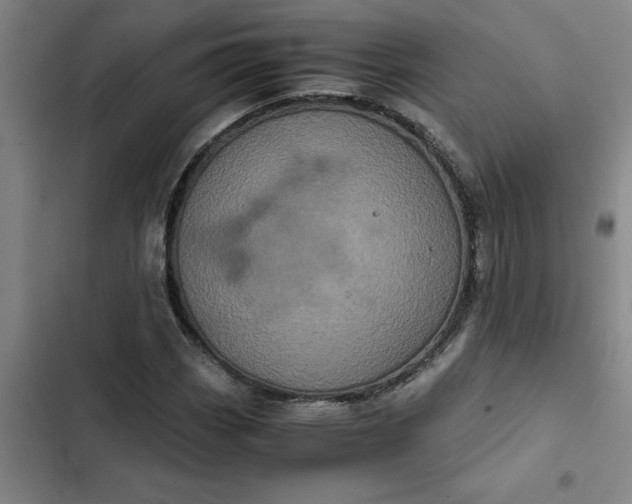 X0000102481113200808221700