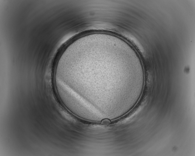 X0000102481114200808221700