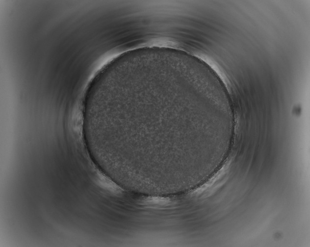 X0000102481115200808221700