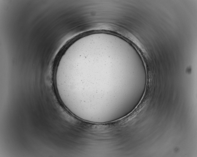 X0000102481116200808221700