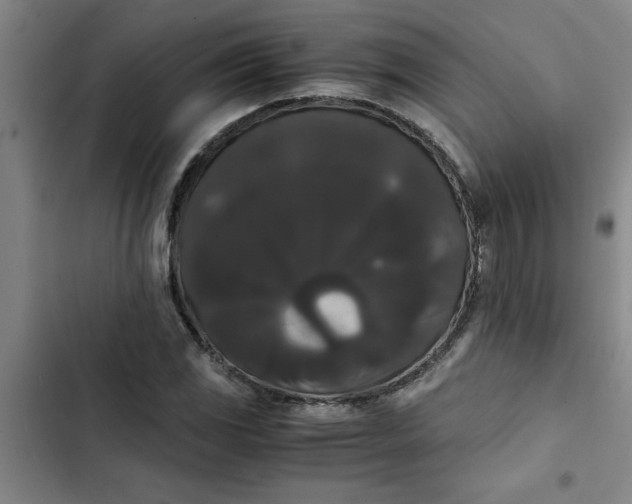 X0000102481117200808221700