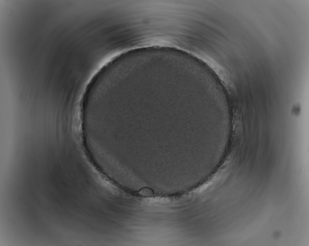 X0000102481118200808221700