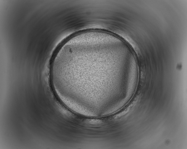 X0000102481119200808221700