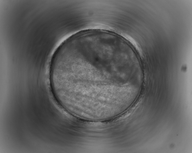 X0000102481120200808221700