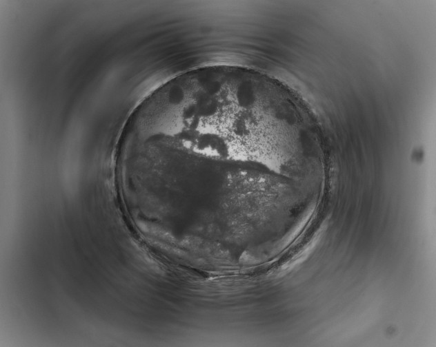 X0000102481121200808221700