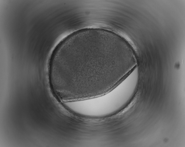 X0000102481122200808221700