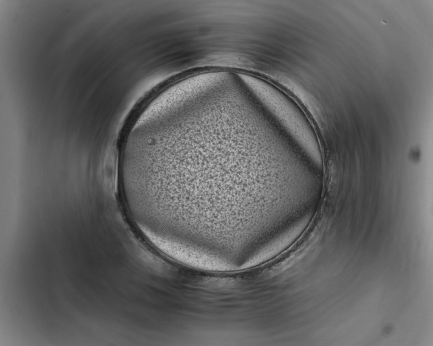 X0000102481123200808221700