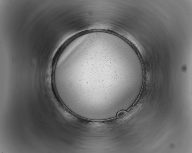 X0000102481124200808221700