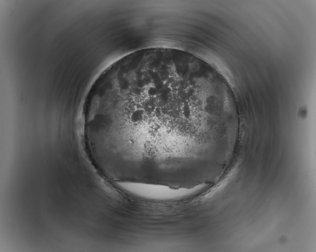 X0000102481125200808221700