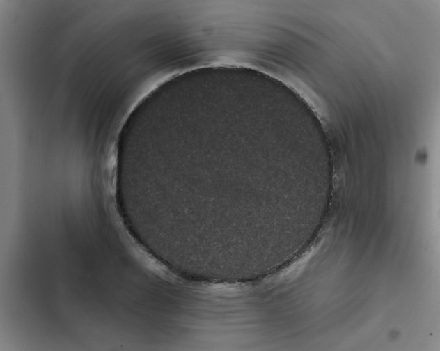 X0000102481126200808221701