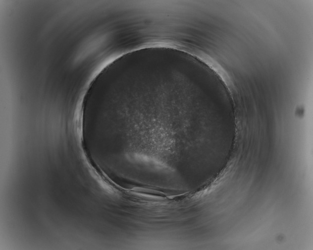 X0000102481127200808221701