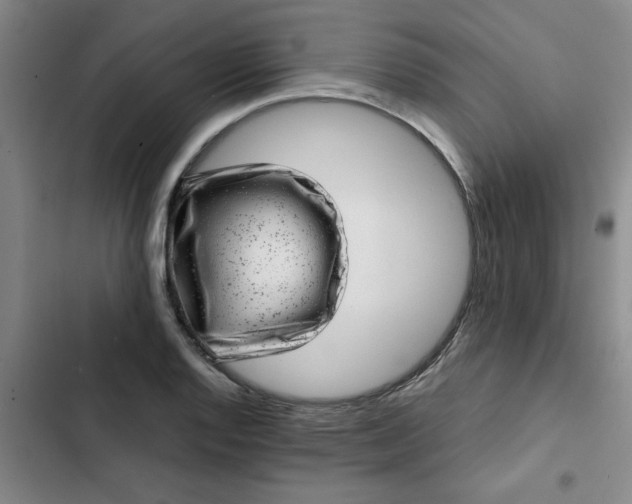 X0000102481128200808221701