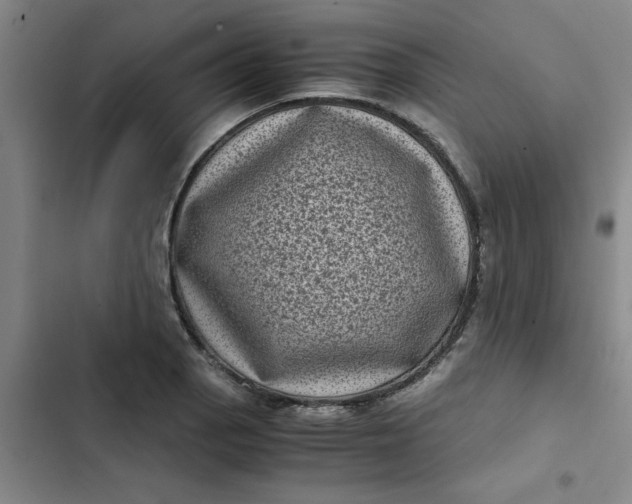 X0000102481129200808221701