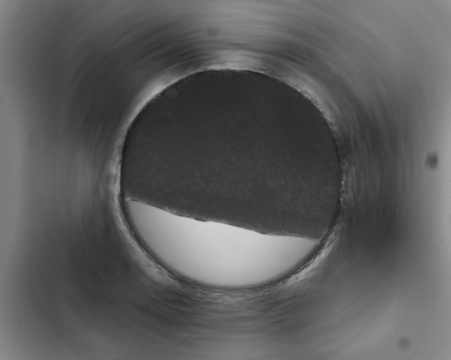 X0000102481130200808221701