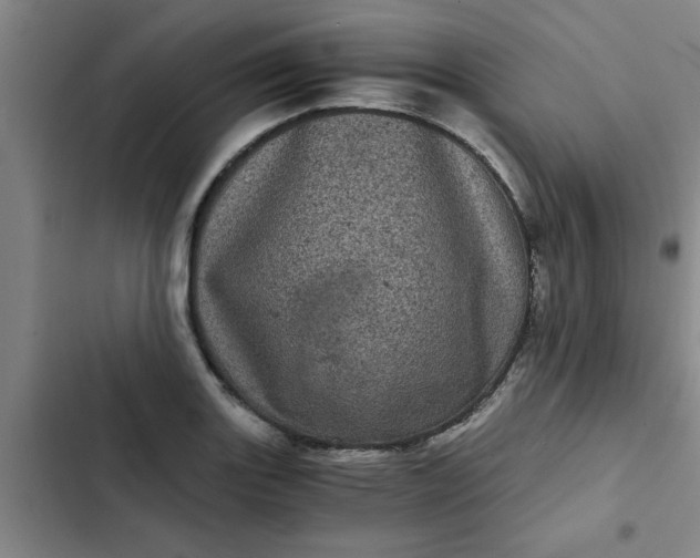 X0000102481131200808221701