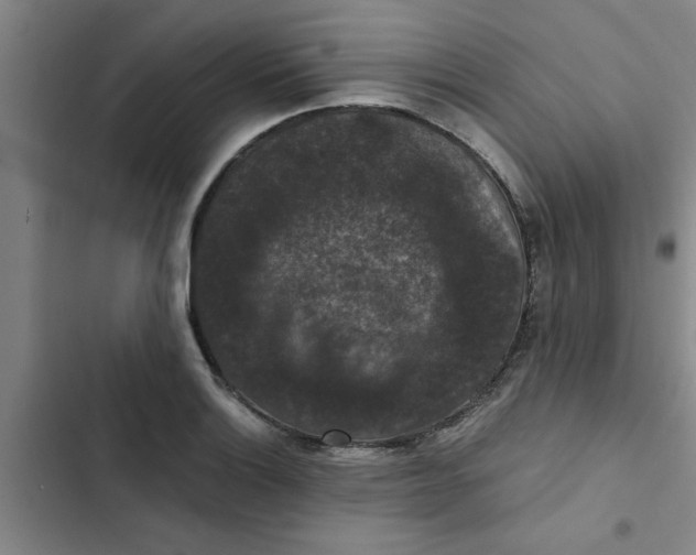 X0000102481132200808221701