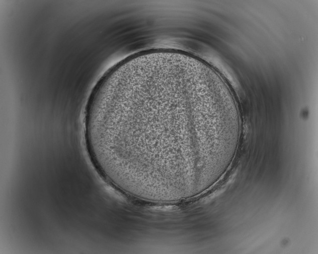 X0000102481133200808221701