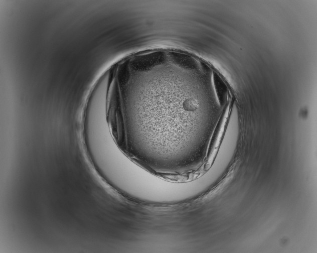 X0000102481134200808221701