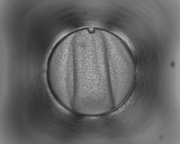 X0000102481135200808221701