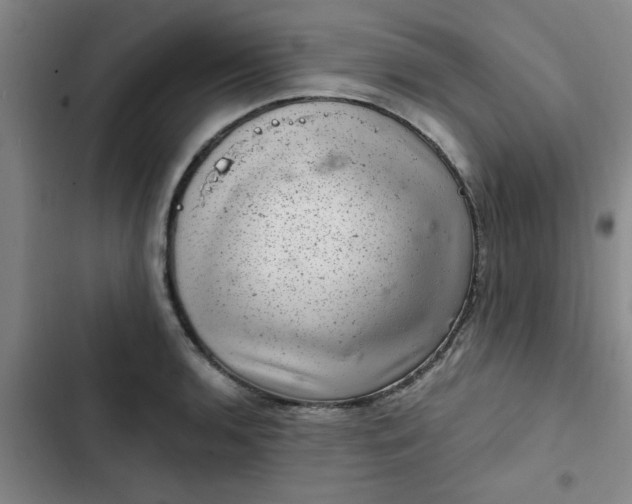 X0000102481136200808221701