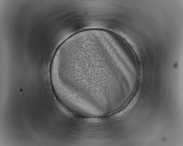 X0000102481137200808221701