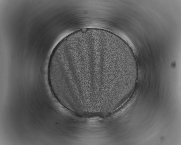 X0000102481138200808221701