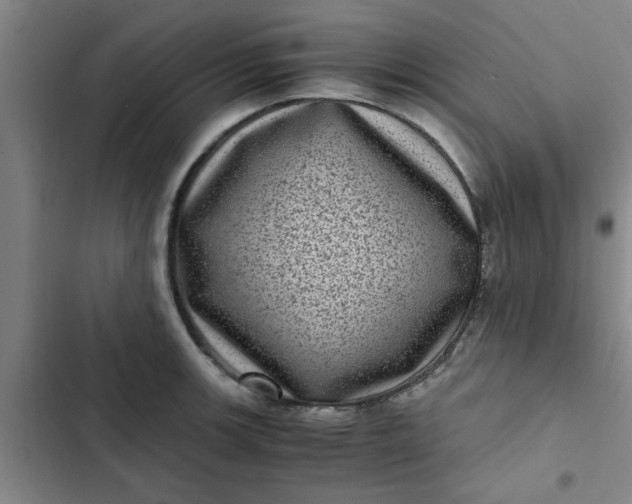 X0000102481139200808221701