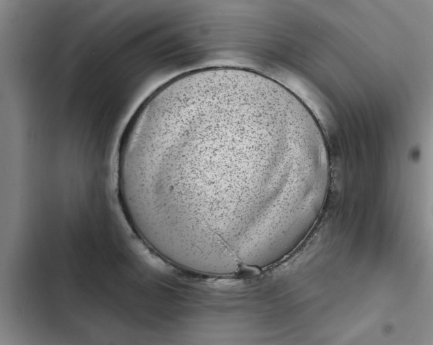 X0000102481140200808221701