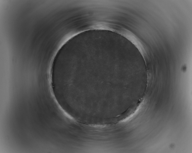 X0000102481141200808221701