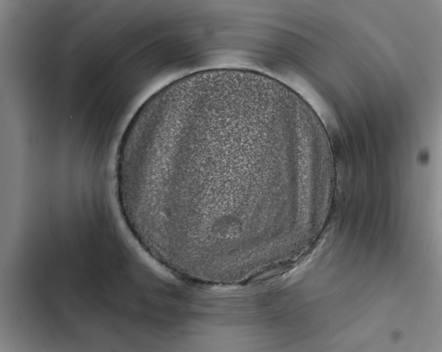 X0000102481142200808221701