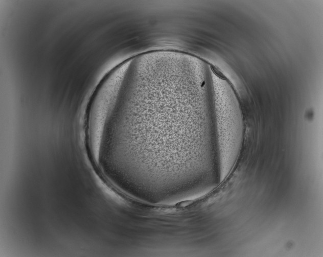 X0000102481143200808221701