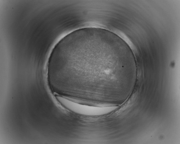 X0000102481144200808221701