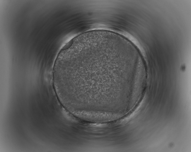 X0000102481145200808221701