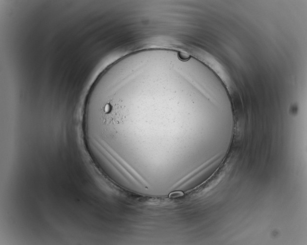 X0000102481146200808221701