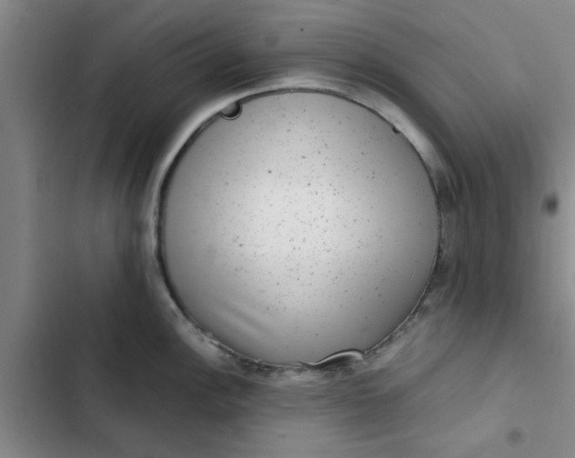 X0000102481148200808221701