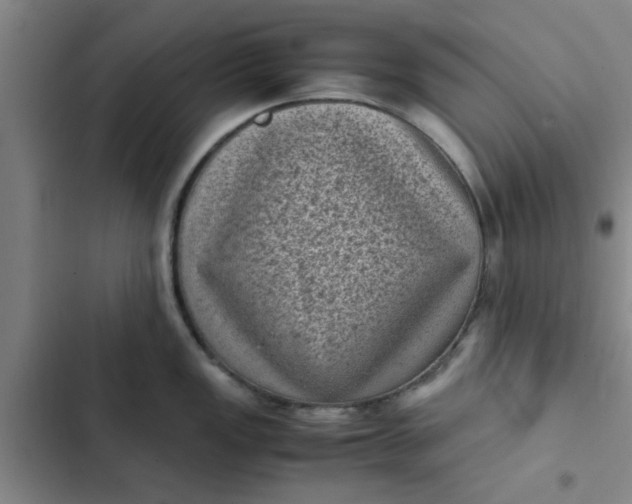 X0000102481149200808221701