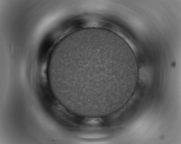 X0000102481150200808221701