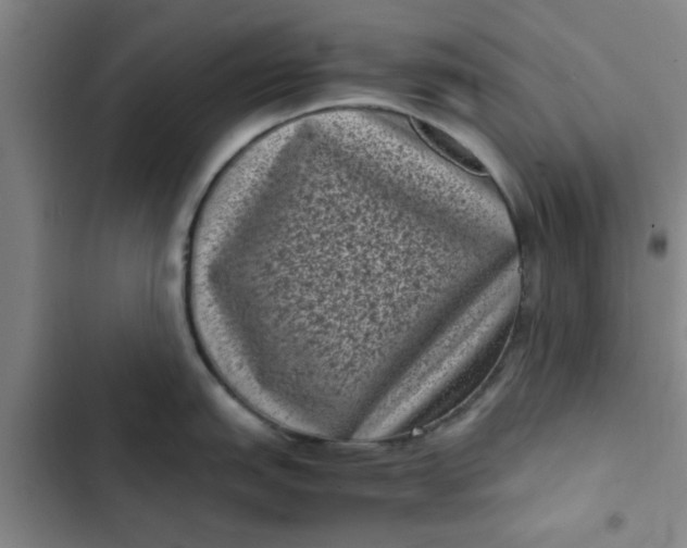 X0000102481151200808221701