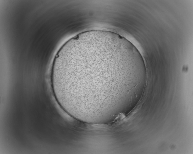 X0000102481152200808221701