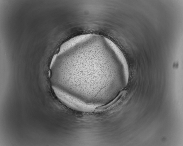 X0000102481153200808221700