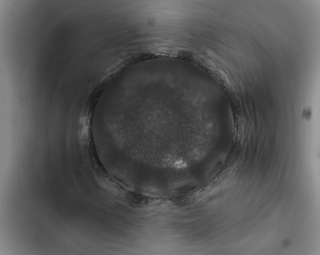 X0000102481154200808221700