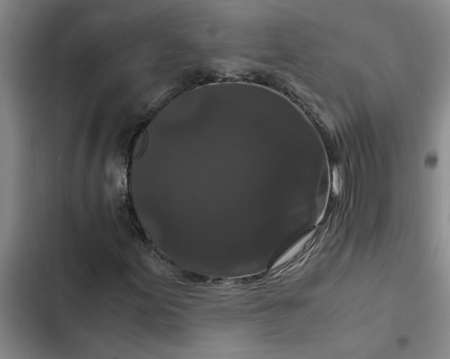 X0000102481155200808221700