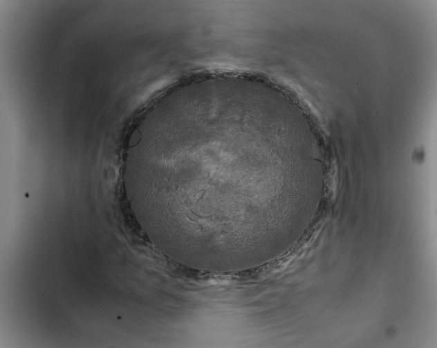 X0000102481157200808221700