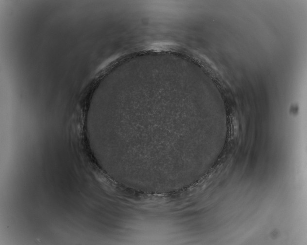 X0000102481158200808221700