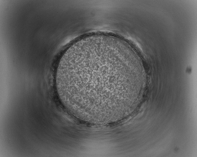 X0000102481159200808221700